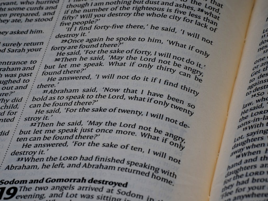 Bible verses about boundaries and protecting your heart