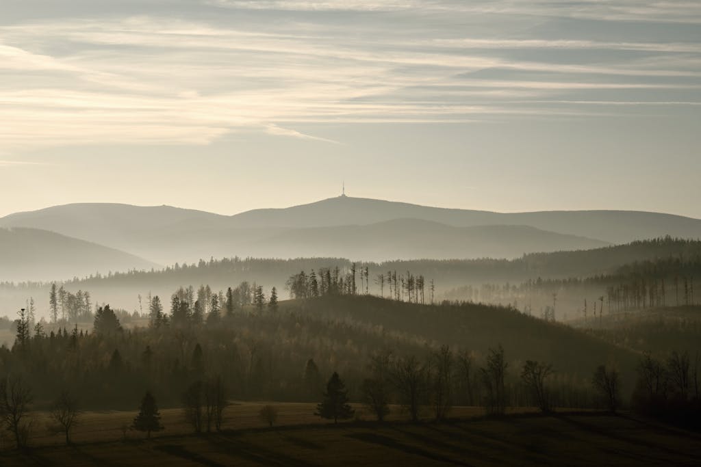 Freedom that comes from setting biblical limits without guilt